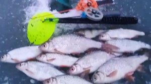 Безмотылка и первый лед рыбалка на озере .