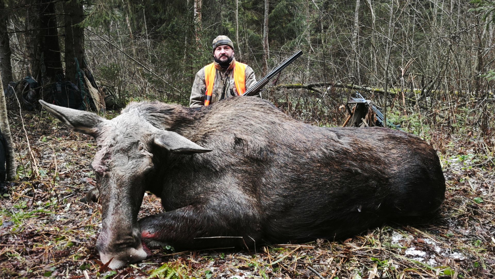 Охота НА ЛОСЯ 💥 Уверенные выстрелы... смотреть онлайн