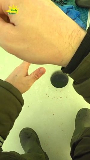 Бонус Лещ на Коромысло. Зимняя рыбалка