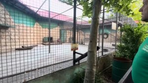 Ну Люська МОЛОДЕЦ! Даже Олег Зубков удивился ее правильному поведению и тому насколько лоялен Елисей