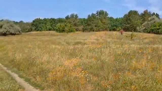 Но память жива смотреть онлайн