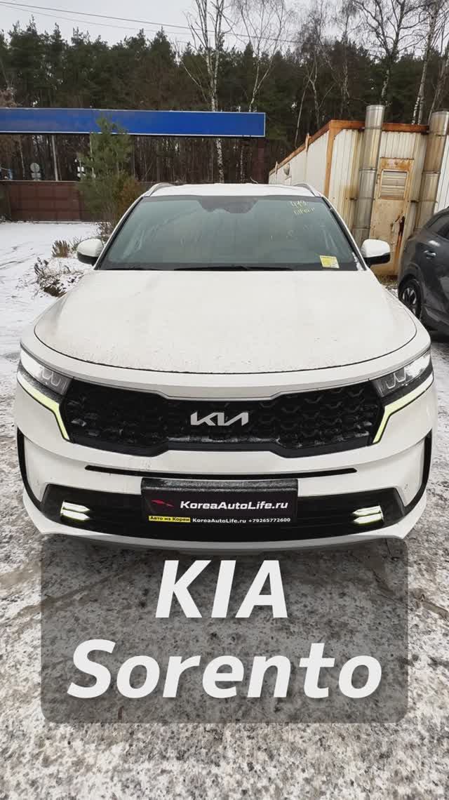 KIA Sorento на заказ из Кореи смотреть онлайн