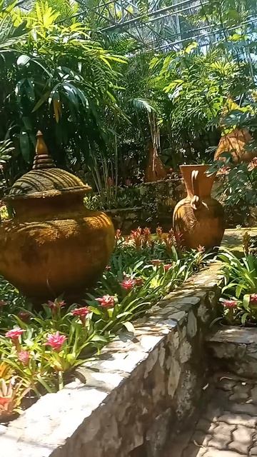 Где живут тайские орхидеи? Тайный зал орхидей в Таиланде: где цветы шепчут древние легенды смотреть онлайн