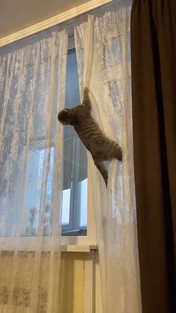 Соня, ты куда? смотреть онлайн