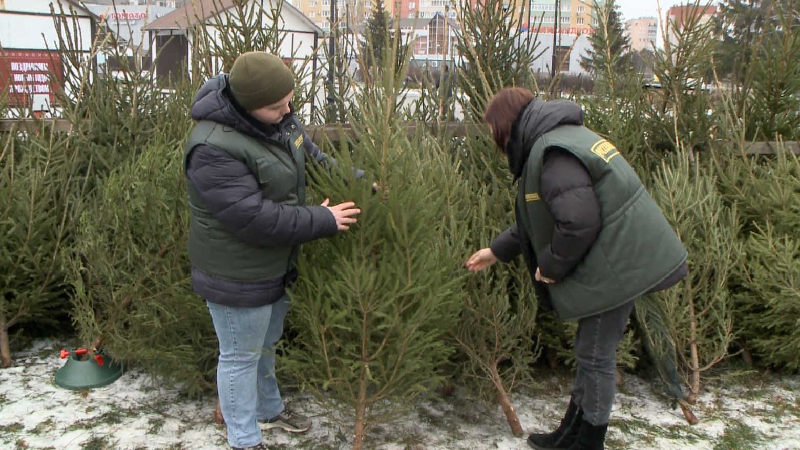 В Рязани прошел рейд по елочным базарам смотреть онлайн