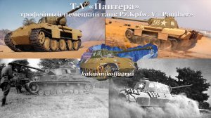 «Трофейная пантера» зажигает.