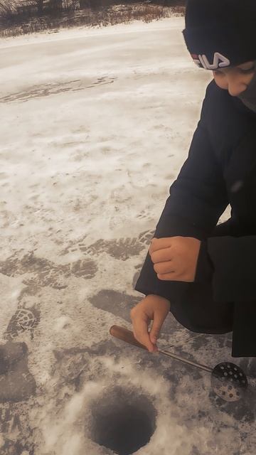 Зимний карась вышел на охоту смотреть онлайн