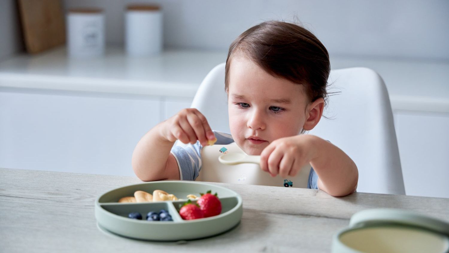 Edda тарелка на присоске секционная смотреть онлайн