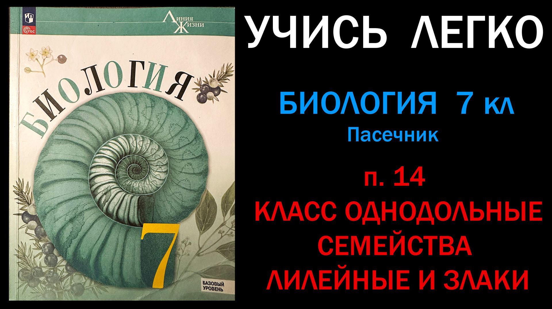 Биология 7 класс Пасечник, Суматохин параграф 14 Класс однодольные. Семейства лилейные и злаки. смотреть онлайн