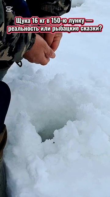 Щука 16 кг 😅 👍 смотреть онлайн