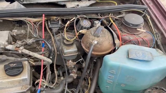 IMG_5434 смотреть онлайн