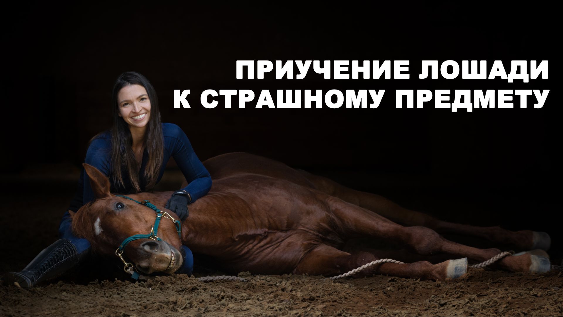 Приучение лошади к страшному предмету