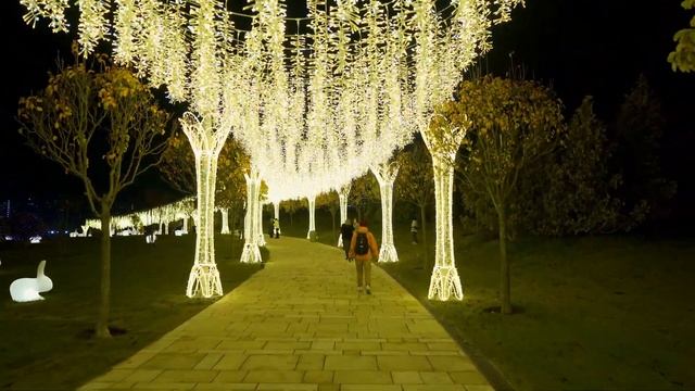 Краснодар.Парк Галицкого к новому году смотреть онлайн