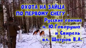 ОХОТА НА ЗАЙЦА ПО ПЕРВОМУ СНЕГУ. Русские гончие ч.Ю-Говоруша и Свирель вл. Шатров В.А.#топ#hunting
