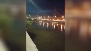 сочинка мендельсон 1