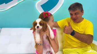 Лайк Настя, 2 сезон, 210 серия