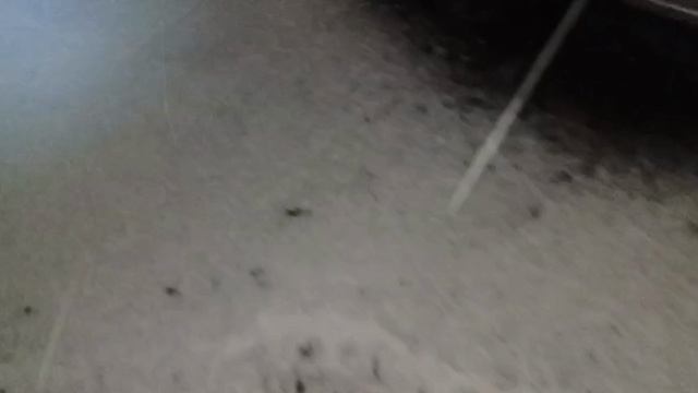 📢🚘🤓Поедем поглядим. 🔥💃🤑📢 смотреть онлайн