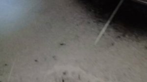 📢🚘🤓Поедем поглядим. 🔥💃🤑📢