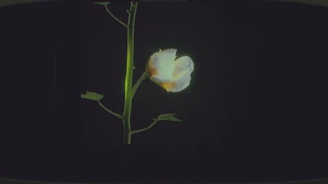 ROUTINE [полное прохождение (игрофильм)] смотреть онлайн