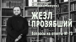 ЖЕЗЛ ПРОЗЯБШИЙ • Вопросы на ответы № 73