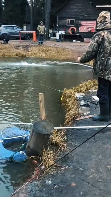 ЭТО БЫЛО В КОПНИНО. (1) смотреть онлайн