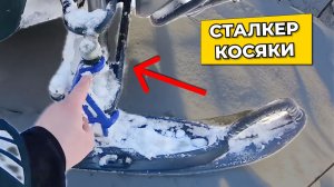 Купил Сталкер: что нужно доработать после покупки?