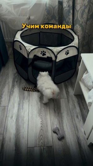 День из жизни спортсмена🔥