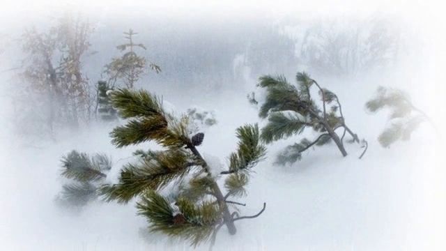 Разгулялась вьюга стихи С. Есенин ; музыка и исполнение А. Михайлов смотреть онлайн