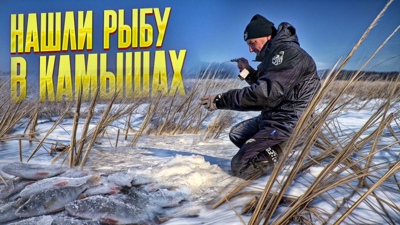 В камышах мелко, а есть вся рыба! Щука, окунь, лещ, сорога! Рыбалка на болоте удалась! смотреть онлайн