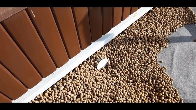 Обзор дома в 2023 году