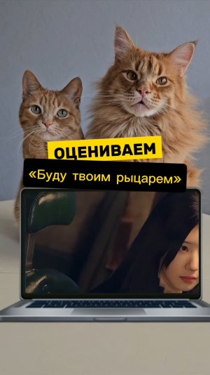 Оцениваем дораму «Буду твоим рыцарем»