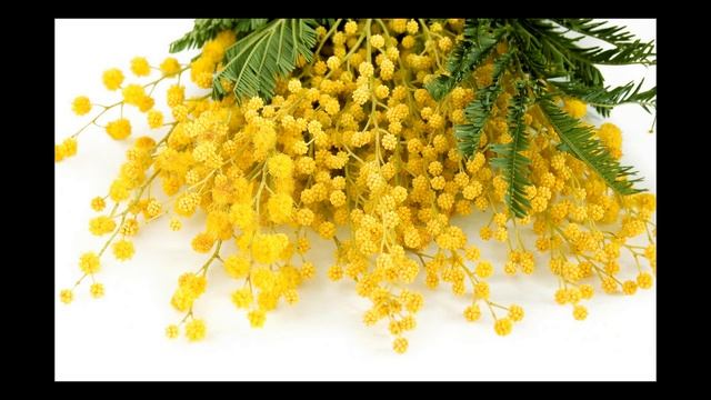 Весенняя Песенка Кап Кап Кап