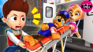 Щенячий Патруль | Пожалуйста, Спаси Его! Грустная история.  3D-Анимация