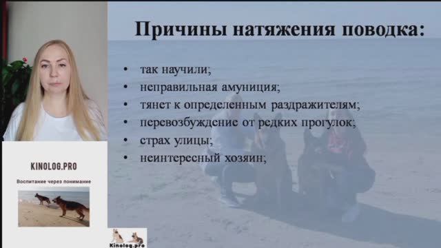 Ознакомительная часть из видео-урока "Легкий поводок" . Если собака тянет поводок на прогулке. смотреть онлайн