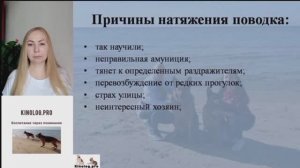 Ознакомительная часть из видео-урока «Легкий поводок» . Если собака тянет поводок на прогулке.