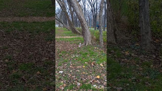 Пенсионеры изучают Краснодар, поехали в парк Солнечный остров