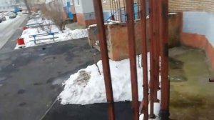 По домофонам #2 | М20-М бунтуют, нашел целый дом интересных домофонов