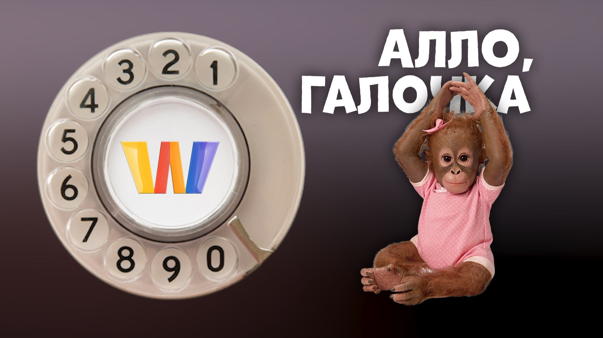 Алло, Галочка? #12 (107) четвёртый сезон смотреть онлайн