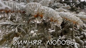 Зимний саксофон. Андрей Обидин. Красивая мелодия. Музыка для души