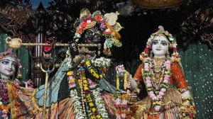 19.12.2025 ШБ 5.5.16 – Е. М. Ямуна Сакхи д. д.