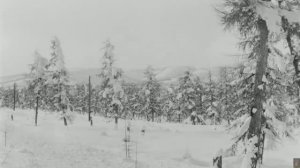 Владимир Высоцкий - Дорожная история