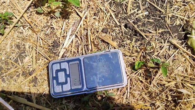 Зайцы жрут,птицы клюют,люди воруют!