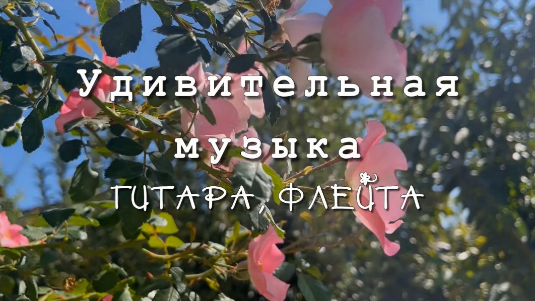 Удивительная музыка, звуки природы, гитара, флейта. Музыка для души смотреть онлайн