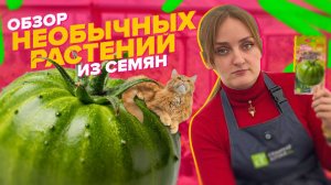 ОБЗОР НЕОБЫЧНЫХ КУЛЬТУР