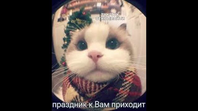 Разговоры с коллекторами 105 смотреть онлайн