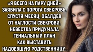 Приехав в гости, свекровь начала устанавливать свои порядки, но смекалка невестки…