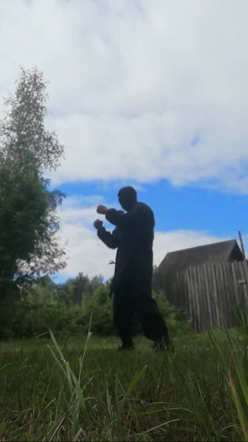 Ниндзя Беспредела: Боковой удар левым кулаком (19.7.2020) Ninja of Mayhem: Lateral kick by left fist