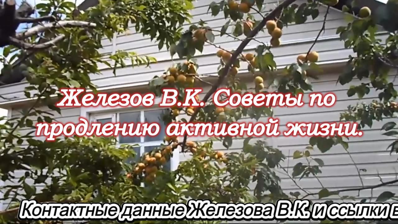 Железов В.К. Советы по продлению активной жизни. смотреть онлайн
