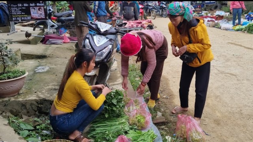 Дуонг собирает дикий лук , цветы папайи для продажи на рынке. смотреть онлайн