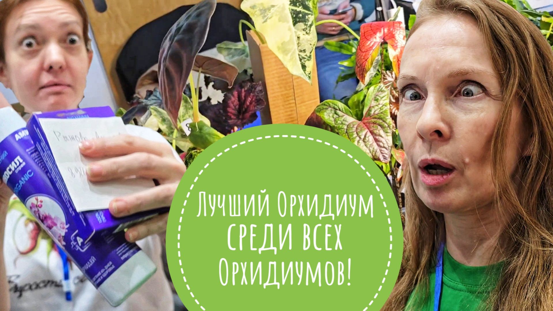 Суета Зимнего Орхидиума 2025. Выигрываем лотереи, культурно шокируемся от людей, орхидей и неорхидей смотреть онлайн